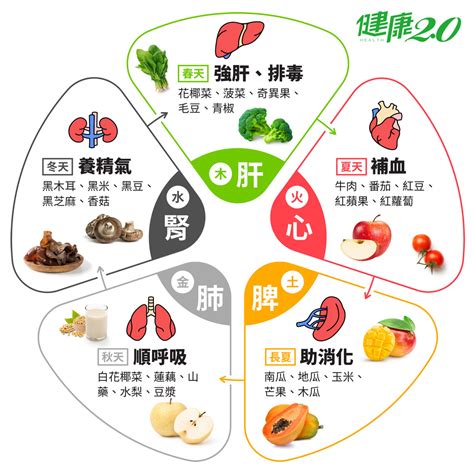 紅色食物五行|【中醫養生】五行五色食療 